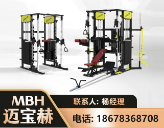 岳阳多功能综合训练器