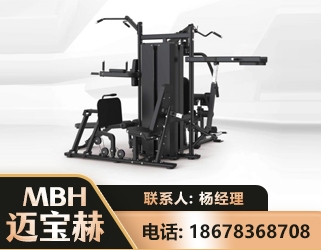 岳阳四人站训练器