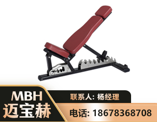 岳阳可调哑铃椅