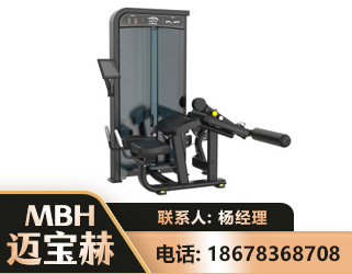 岳阳卧式屈腿训练器