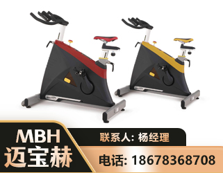 岳阳商用动感单车